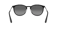 RB3539 Erika Metal