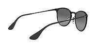 RB3539 Erika Metal