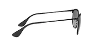 RB3539 Erika Metal