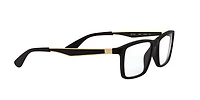 RB7056 Optics