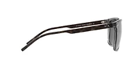 AX4070S