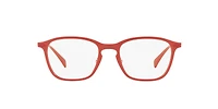 RB8955 Optics