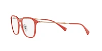 RB8955 Optics