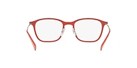 RB8955 Optics