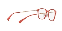 RB8955 Optics