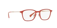 RB8955 Optics