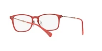 RB8953 Optics