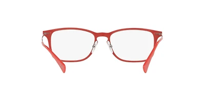 RB8953 Optics
