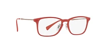 RB8953 Optics