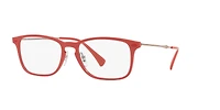 RB8953 Optics