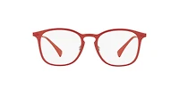 RB8954 Optics
