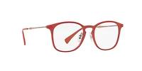 RB8954 Optics