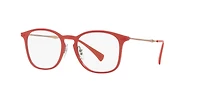 RB8954 Optics