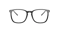 RB5387 Optics