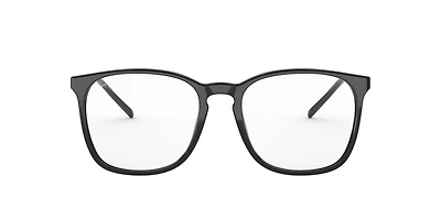 RB5387 Optics