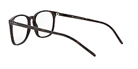 RB5387 Optics