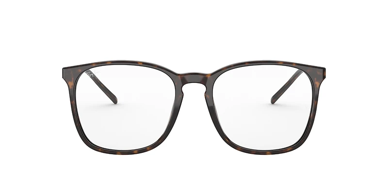 RB5387 Optics