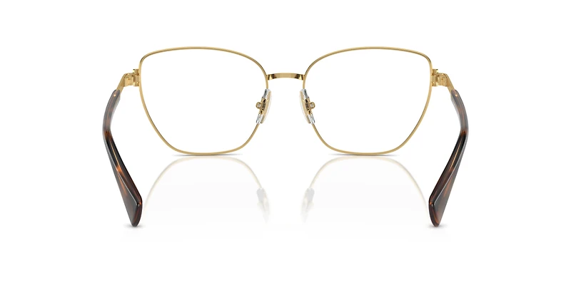 RA6060