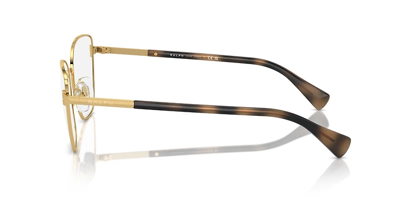 RA6060