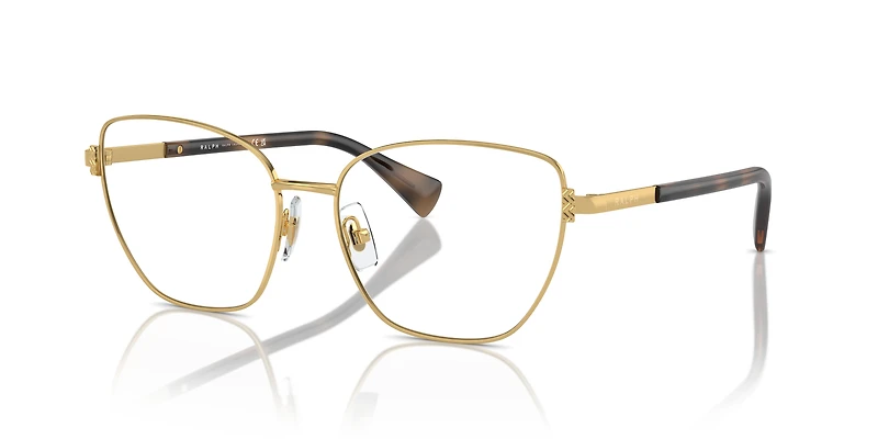 RA6060