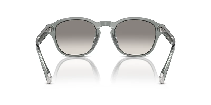 BC4006S