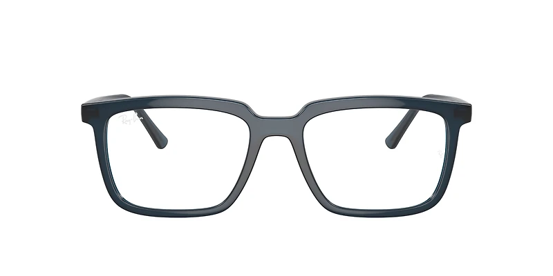 RB7239F Alain Optics