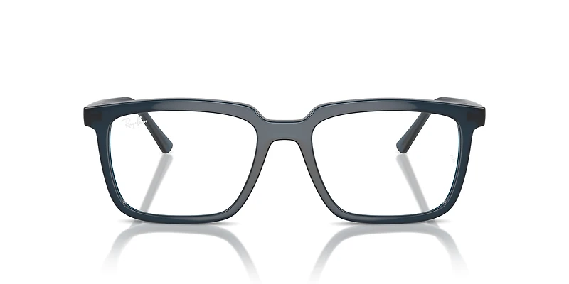 RB7239F Alain Optics