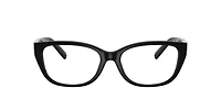 TF2254BU