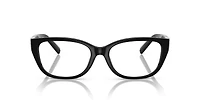 TF2254BU