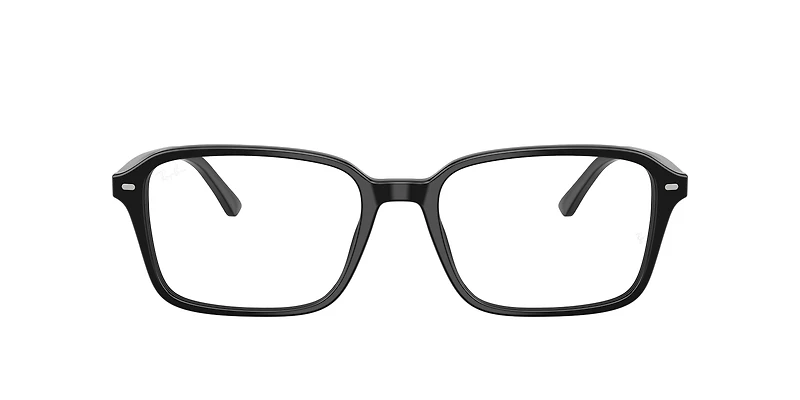 RB5431 Raimond Optics