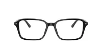 RB5431 Raimond Optics