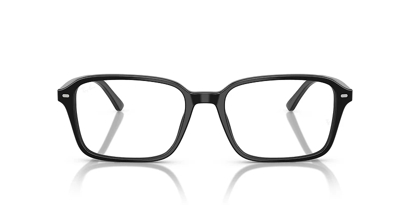 RB5431 Raimond Optics