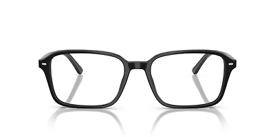 RB5431 Raimond Optics