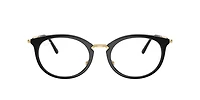 RB7255 Optics