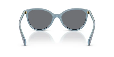 RA5339U