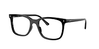 RB5446 Optics