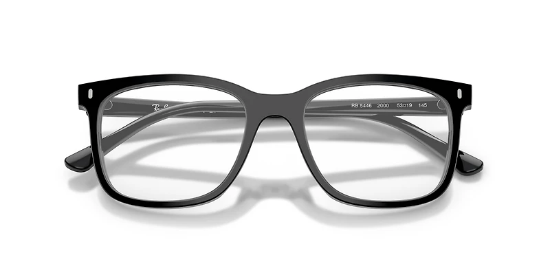 RB5446 Optics