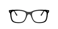 RB5446 Optics