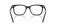 RB5446 Optics