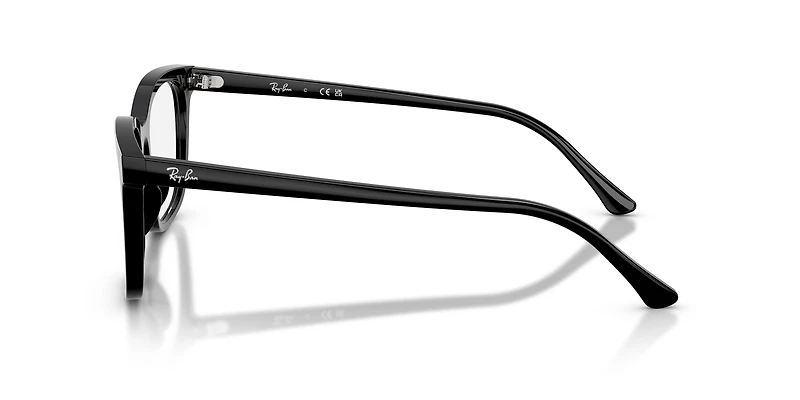RB5446 Optics