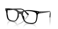 RB5446 Optics