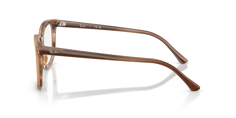 RB5446 Optics