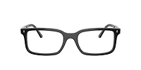 RB5445 Optics