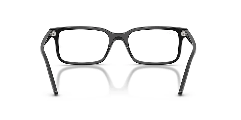 RB5445 Optics