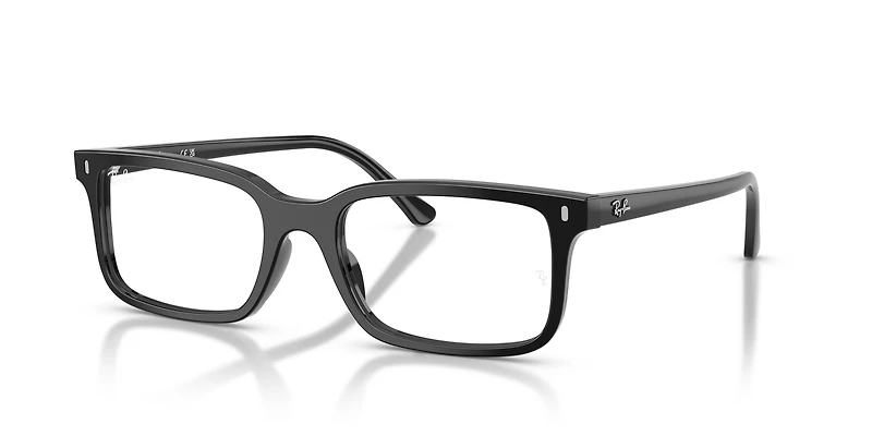 RB5445 Optics