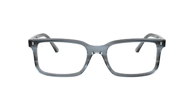 RB5445 Optics