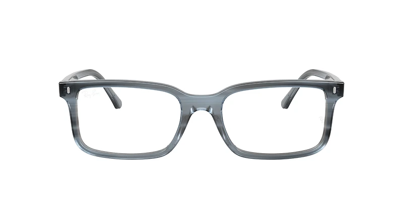 RB5445 Optics