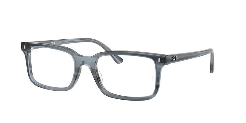 RB5445 Optics