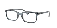 RB5445 Optics