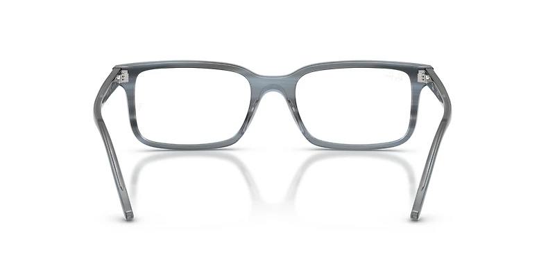 RB5445 Optics